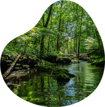 Contatos Habitat Zero. Instalações em Leiria, Lisboa, Porto e Algarve